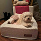 The Real Dog Bed + Free Calming Blanket