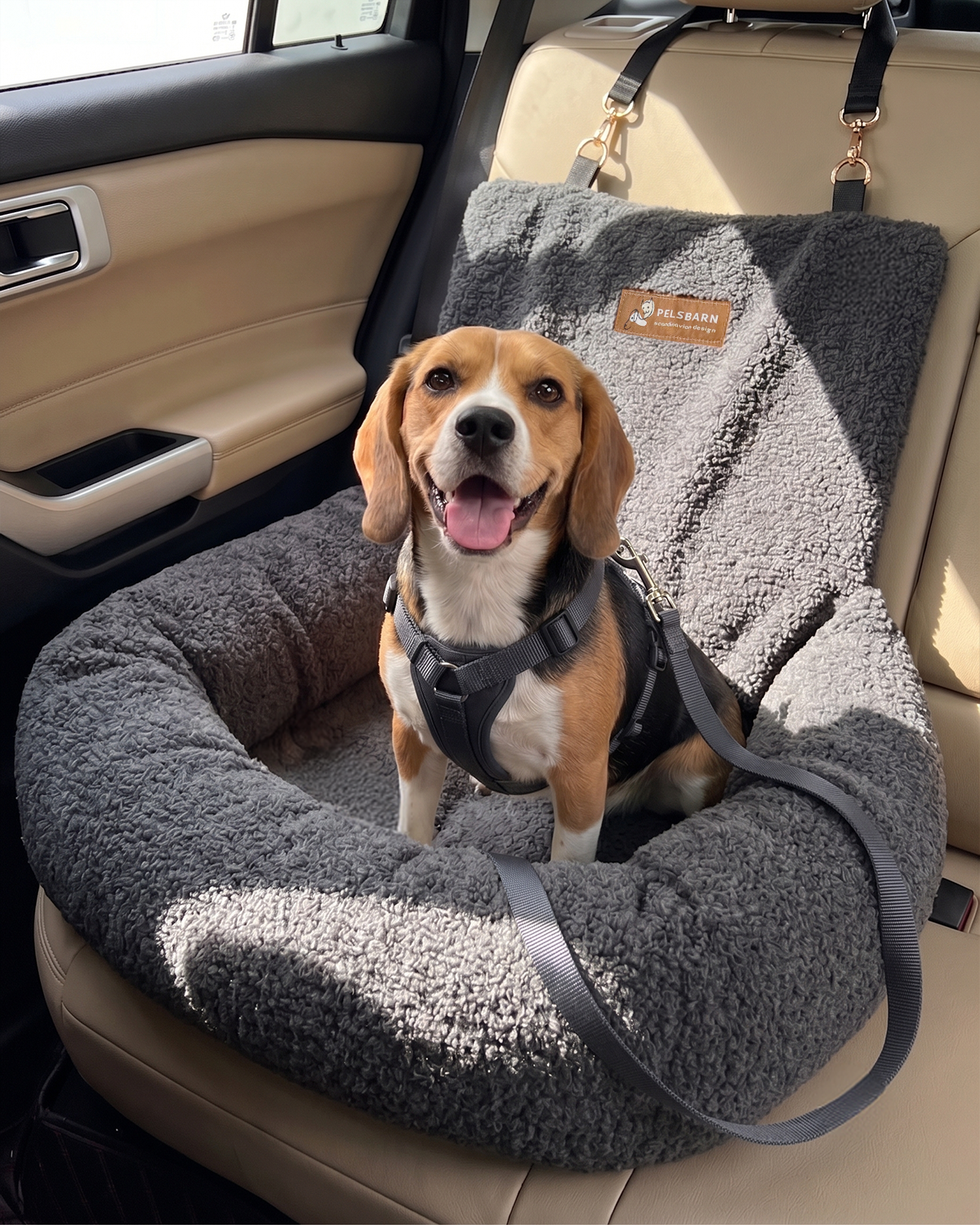 Teddy Car Bed ( 1+1 )