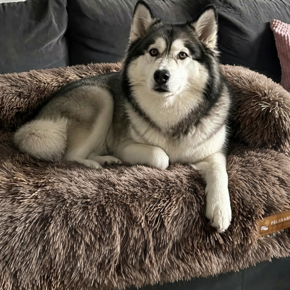 Original Calming Bed