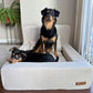 The Real Dog Bed + Free Calming Blanket