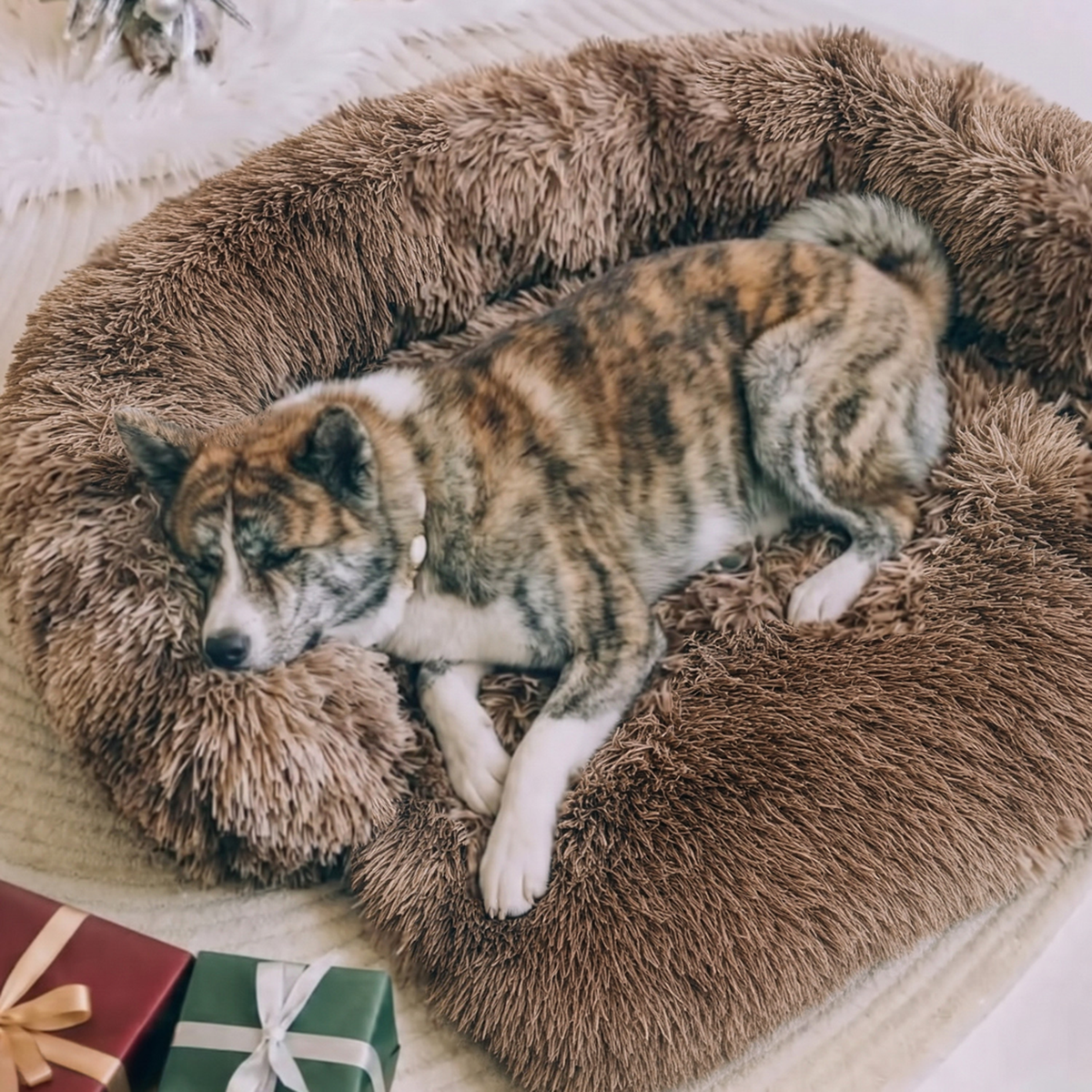Original Calming Bed