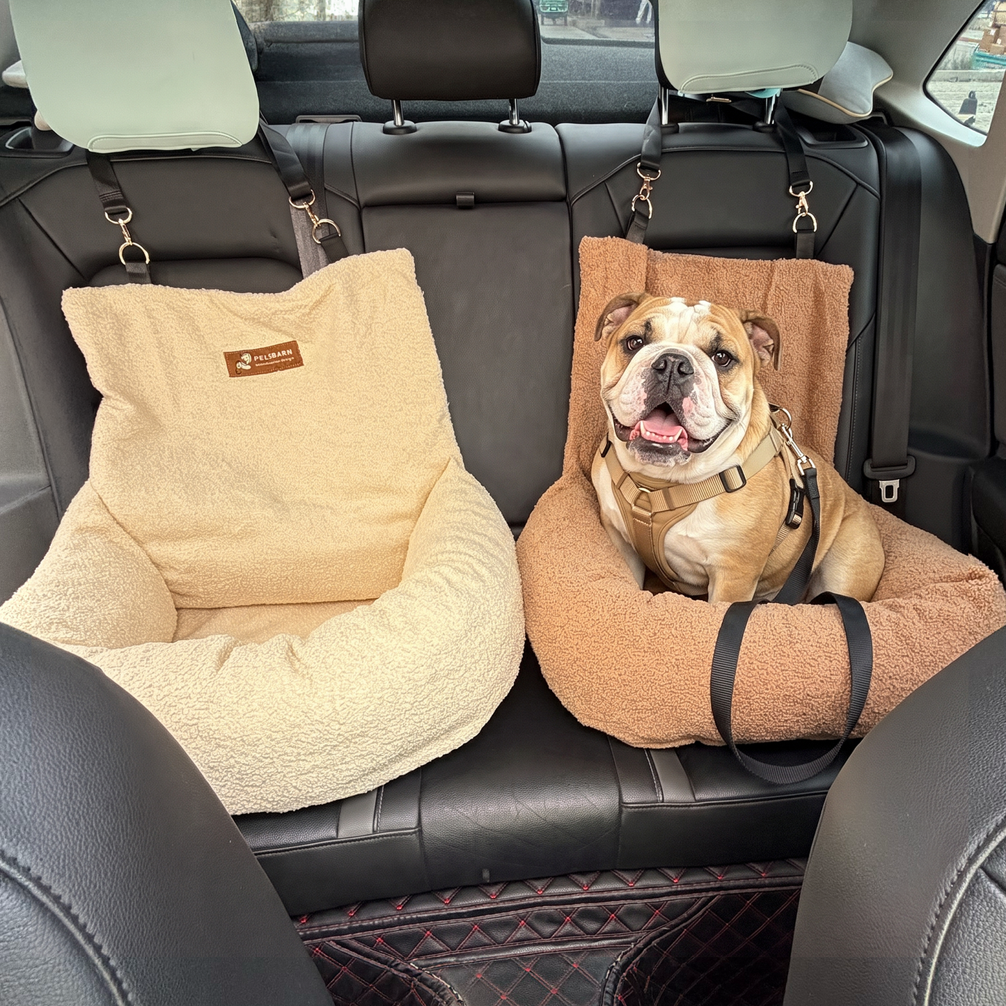 Teddy Car Bed ( 1+1 )