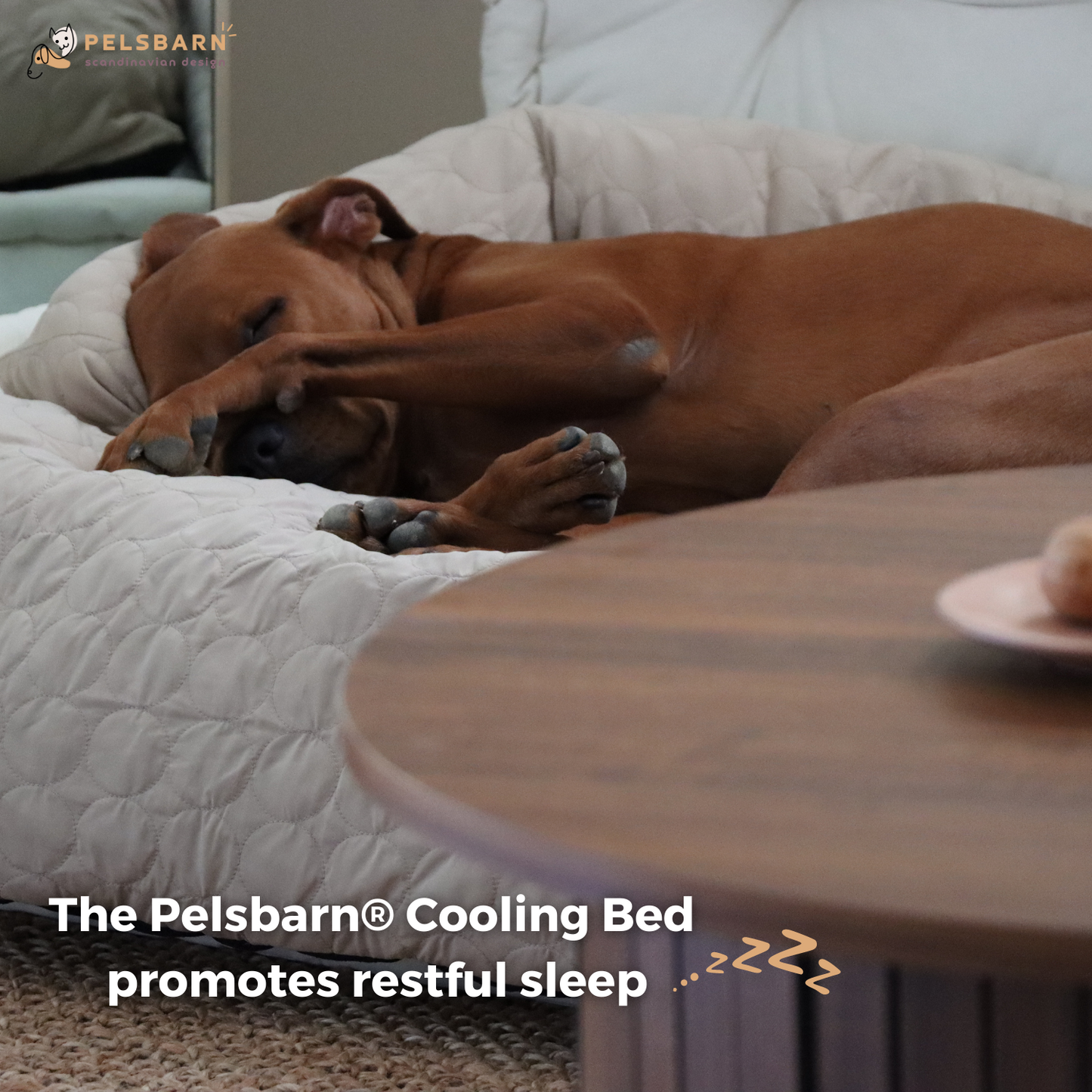 Pelsbarn Ice Silk Comfort: Non-Toxic Cool Beds