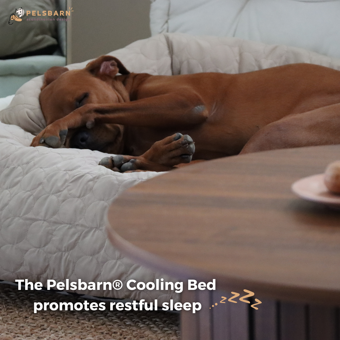 Pelsbarn Cool Down Bed (4x more cooling)
