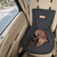 Teddy Car Bed ( 1+1 )