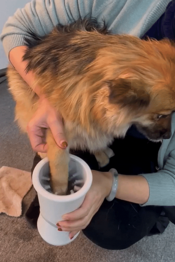 Pelsbarn Automatic Paw Cleaner – Pelsbarn.org