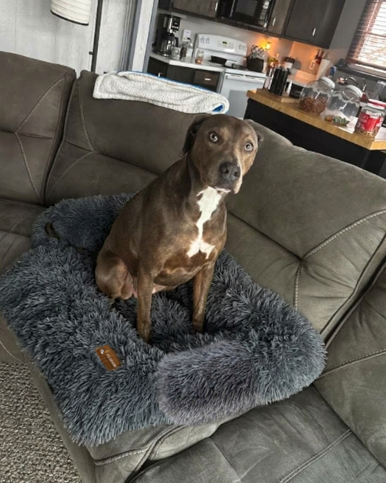 Riley uses size M/L