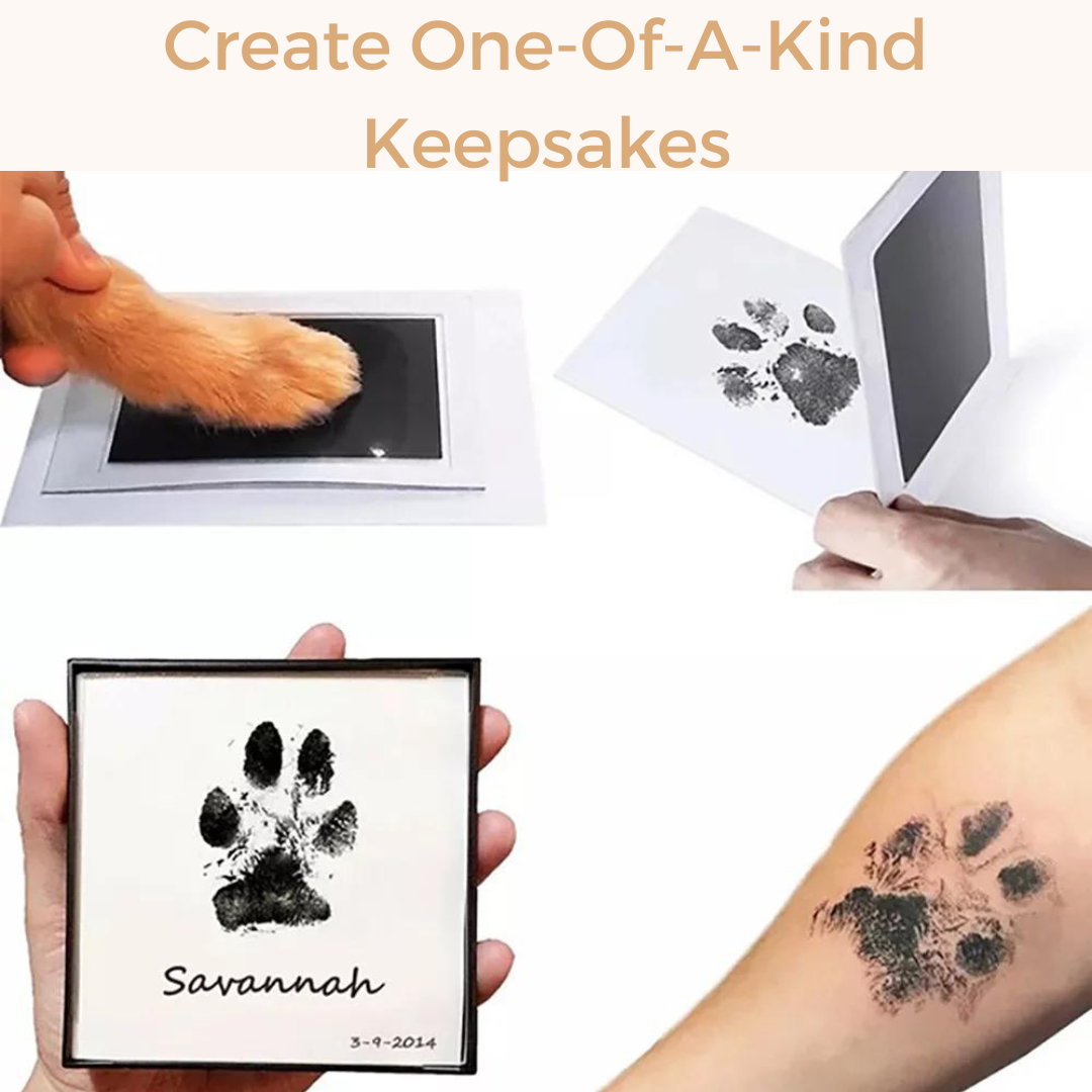 Pet paw print kit online