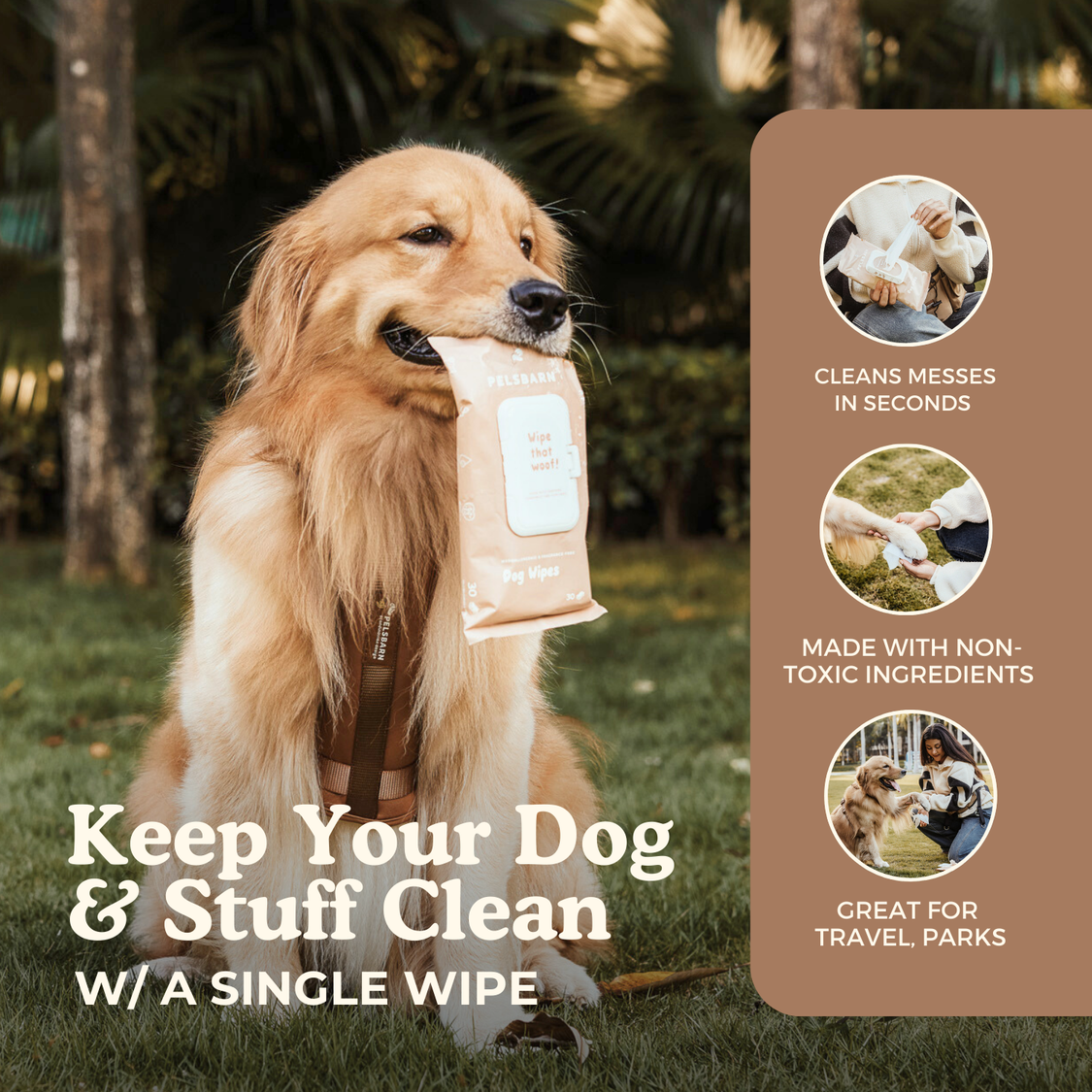 Eco Dog Wipes for clean paws
