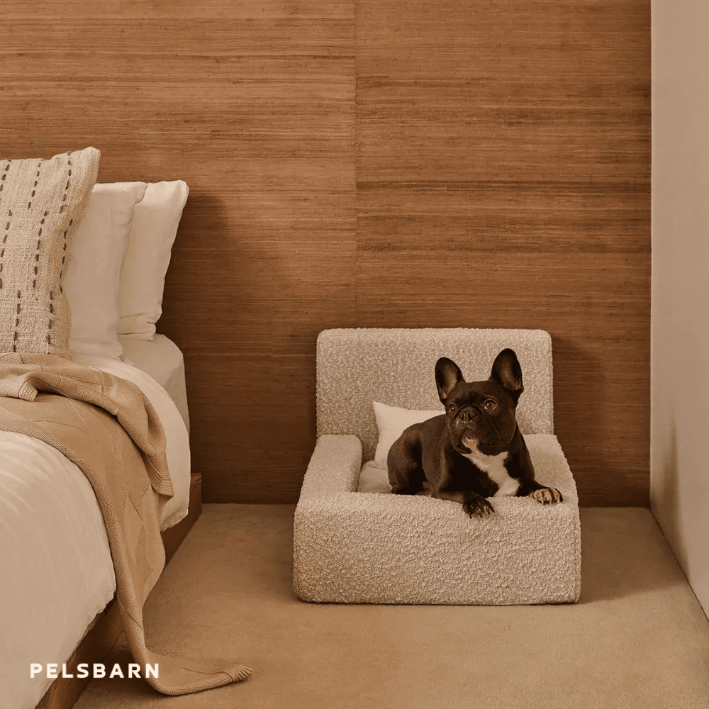 REAL orthopedic bed for dogs