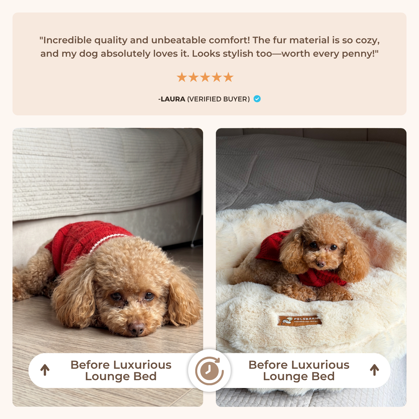 Luxurious Lounge Bed Bundle