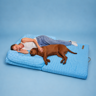 Human Size Cooling Dog Bed