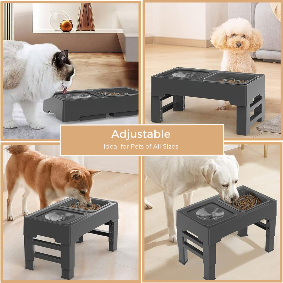 Elevated Dog Bowls with Slow Feeder,Raised Dog Bowl Stand for