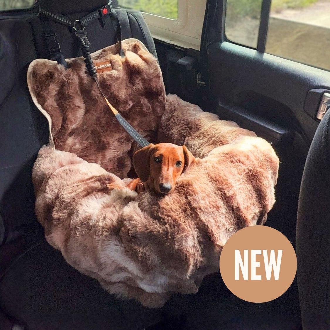 Luxurious Cozy Car Bed