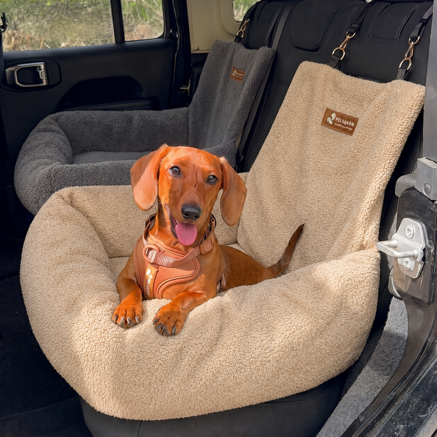 Teddy Car Bed ( 1+1 )