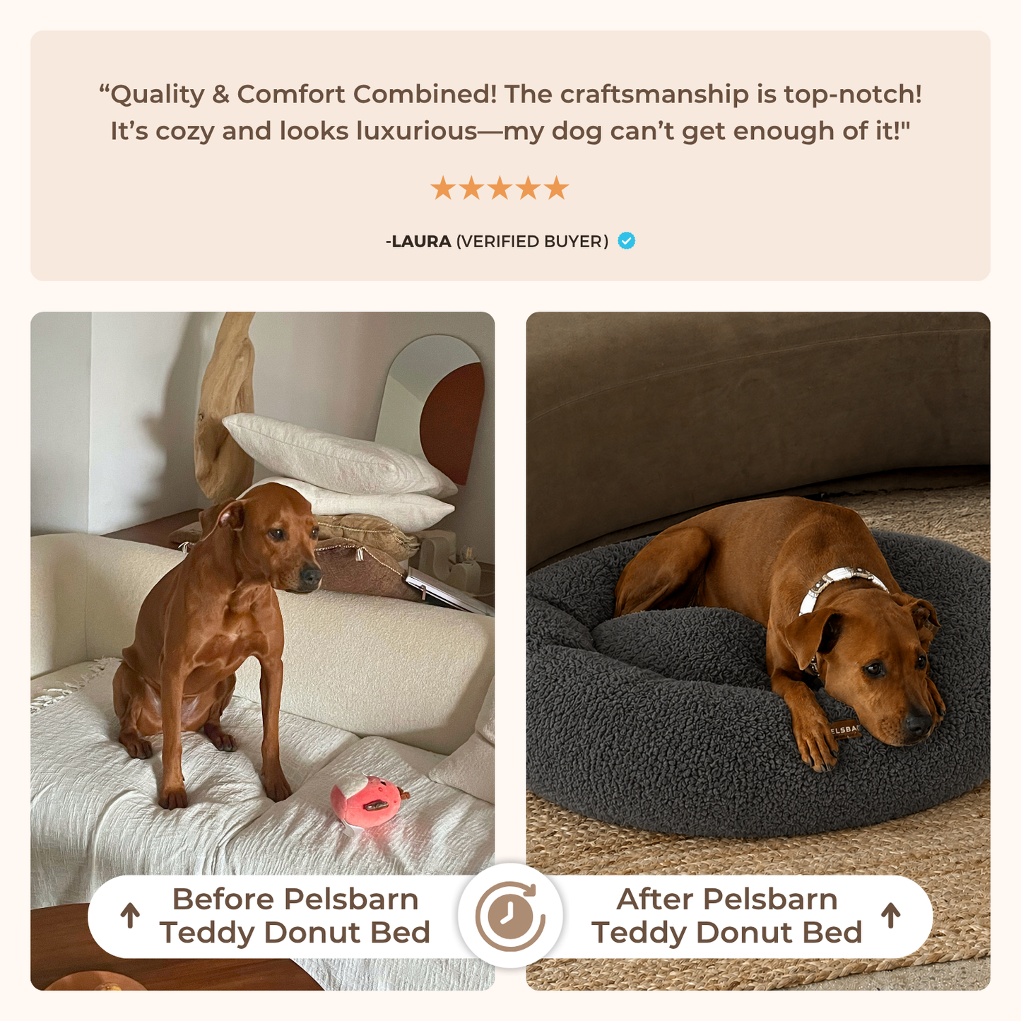 Teddy Donut Bed (1+1 )