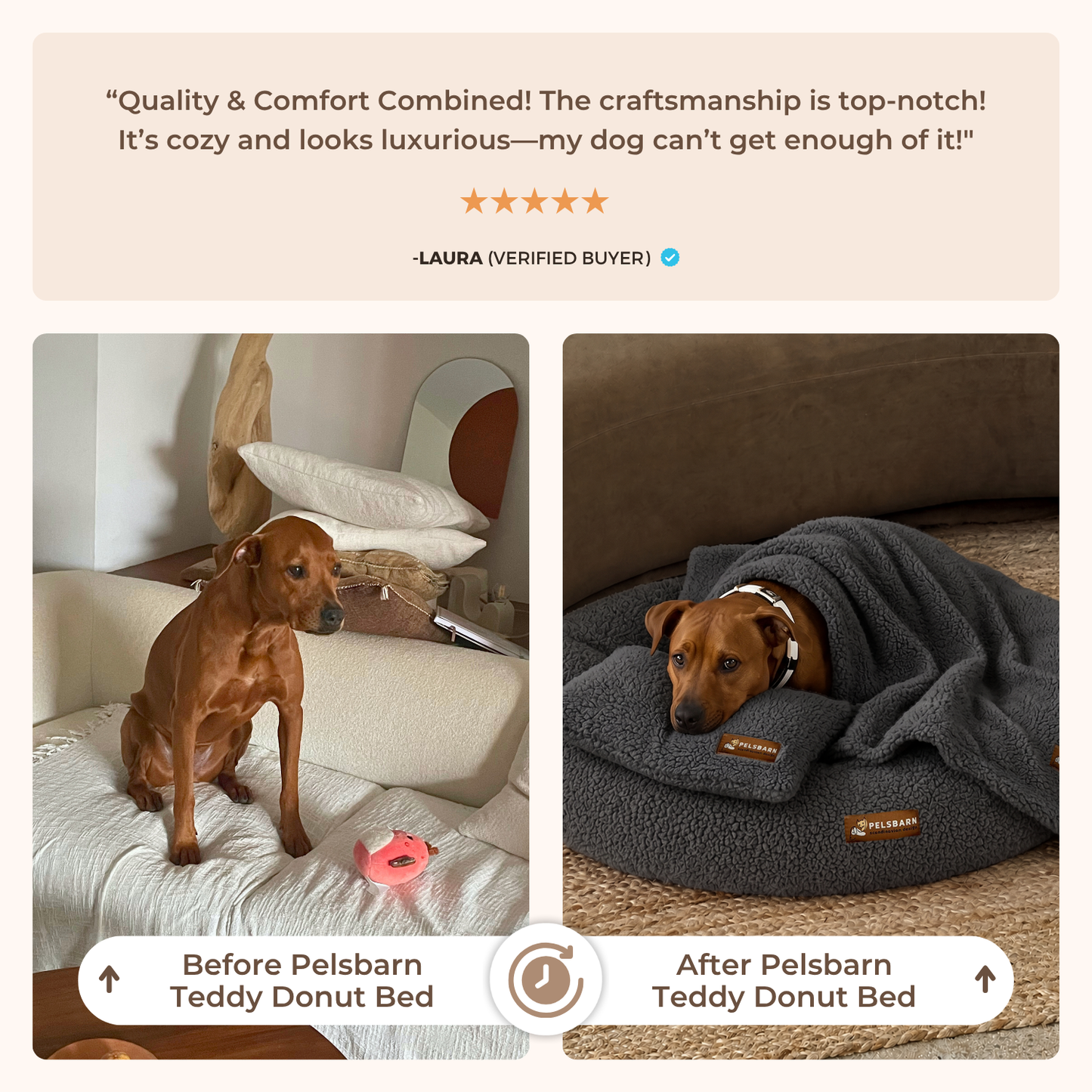 Teddy Donut Bed Bundle