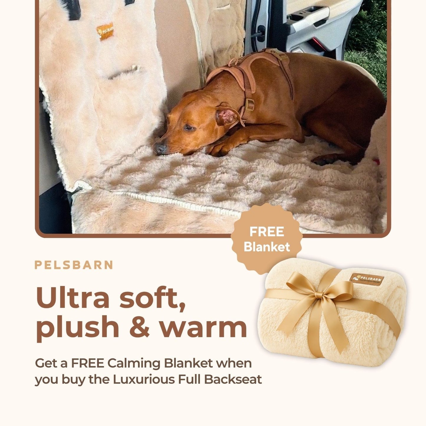 Luxurious Full Backseat + FREE Calming Blanket