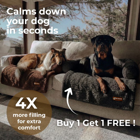 Pelsbarn Teddy Sofa Bed