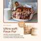 Luxurious Living Room Kit (Bed + Blanket + Pillow)