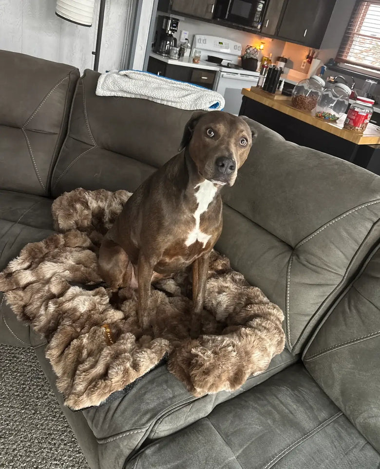Remi uses size M/L