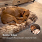 Give Your Dog the Gift of Healing Rest