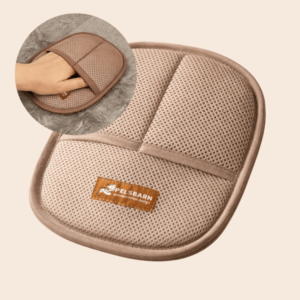 Remove Dog Hair in Seconds