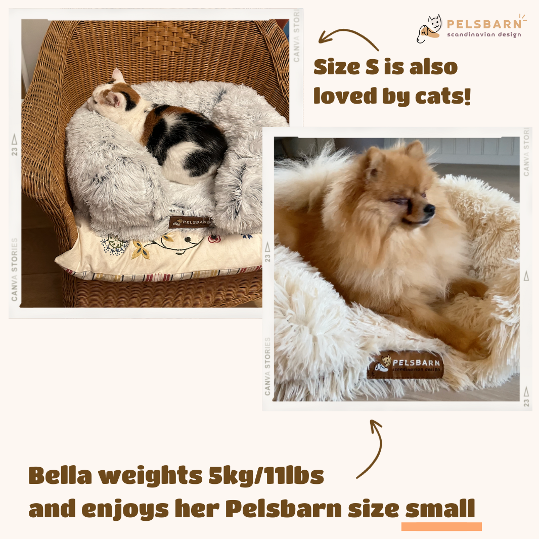 Orthopedic Calming Bed