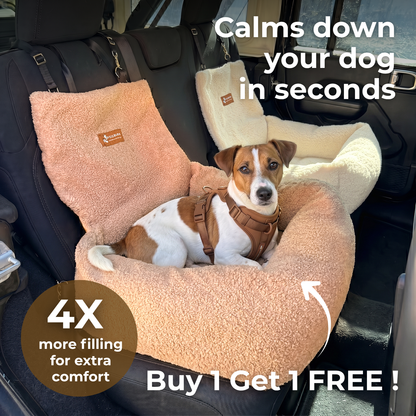 Teddy Car Bed ( 1+1 )