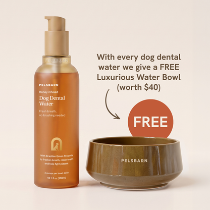 Dog Dental Water