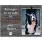 Cherished Companion Keepsakes