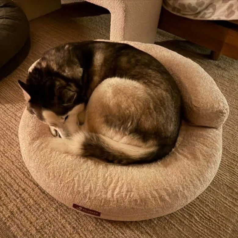 Luna uses size L