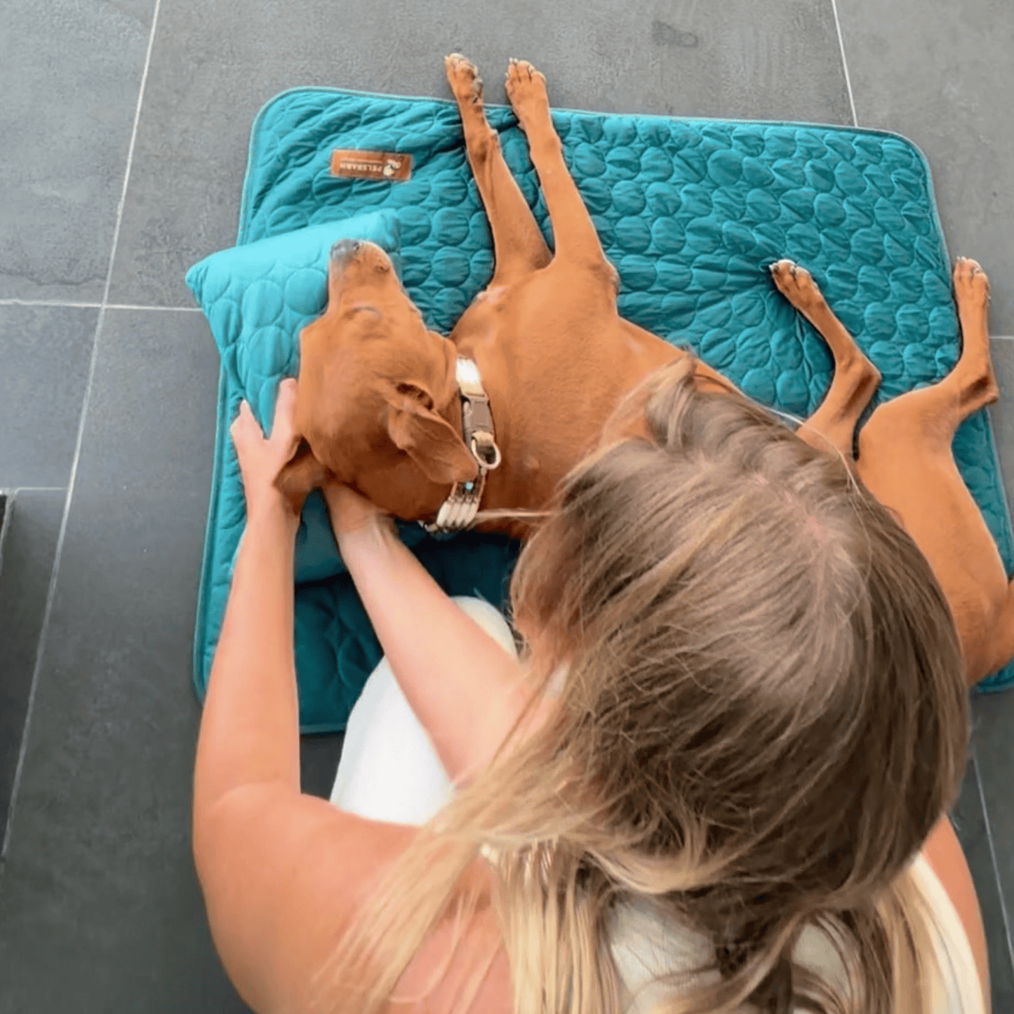 Pelsbarn Cooling Pillow & Sheet