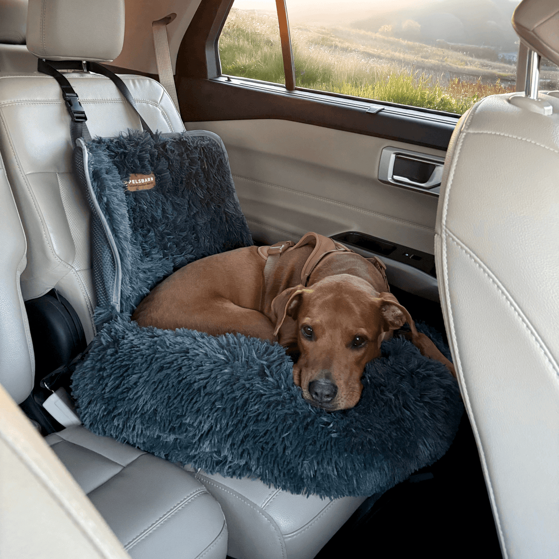 Pelsbarn Protecting Car Bed 2.0