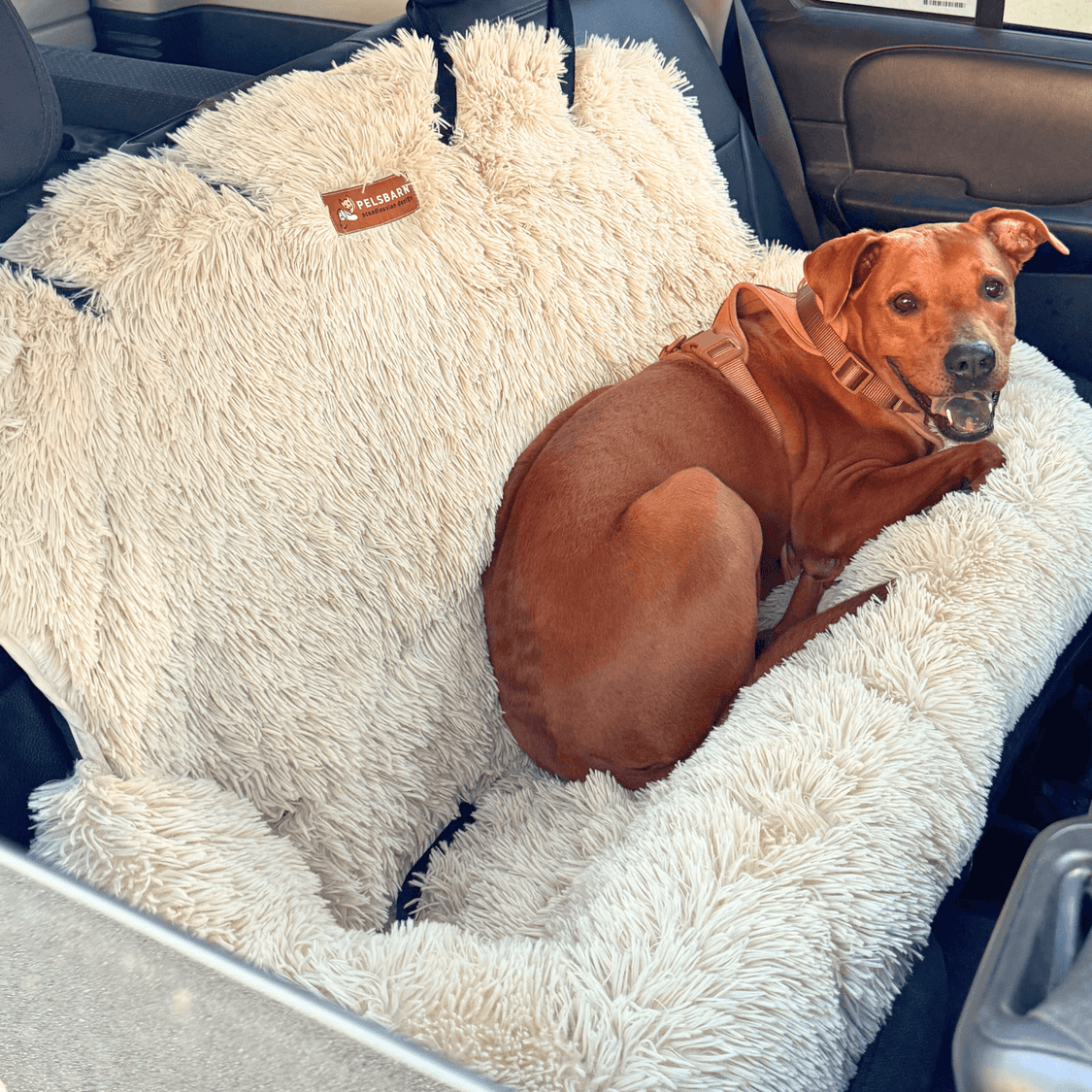 Pelsbarn Protecting Car Bed 2.0