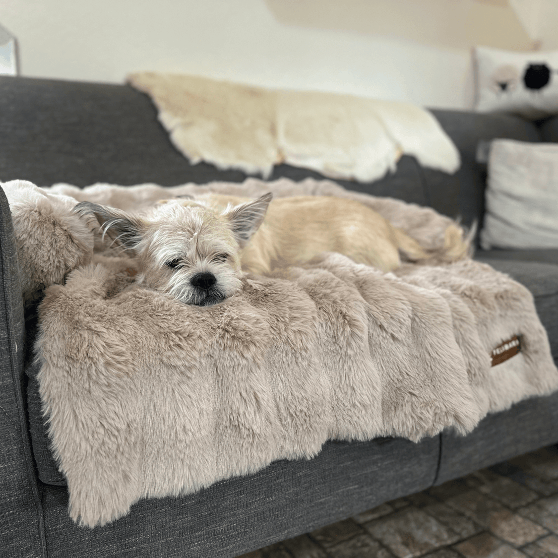 NEW: Luxurious Cozy Pelsbarn Sofa Bed