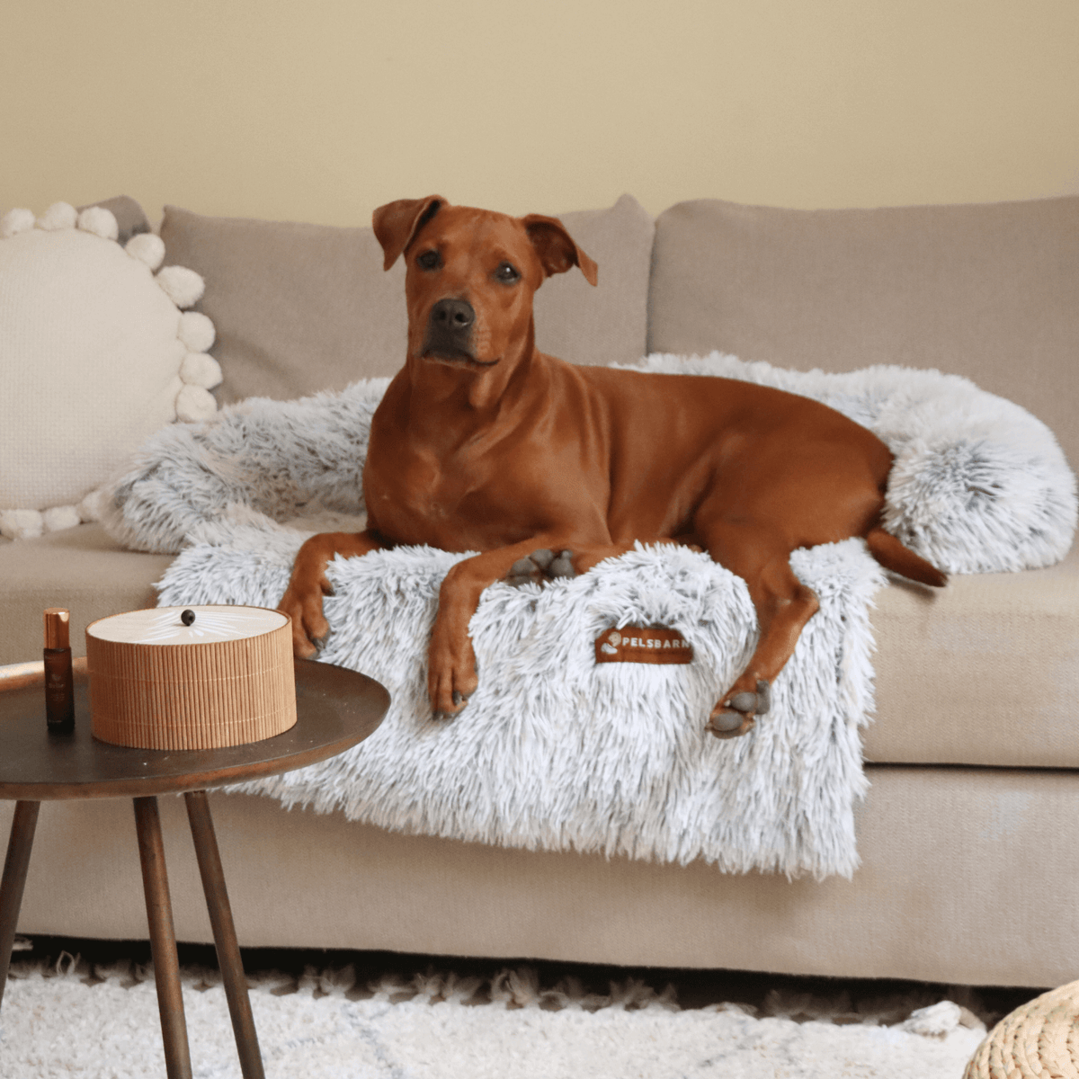 Original Calming Bed