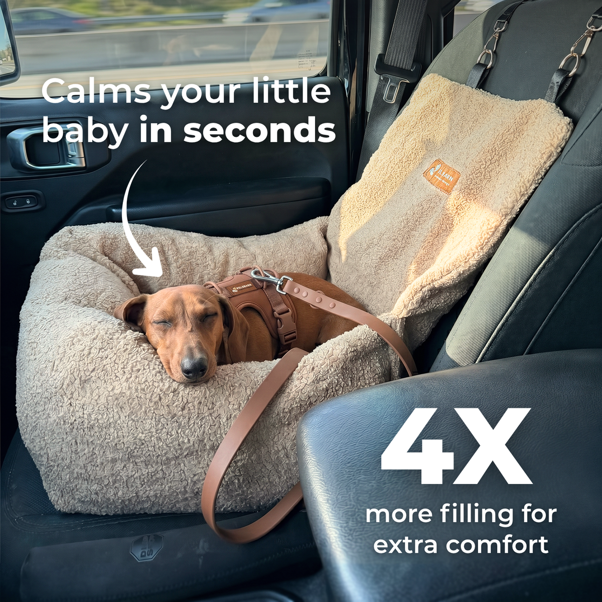 Teddy Car Bed