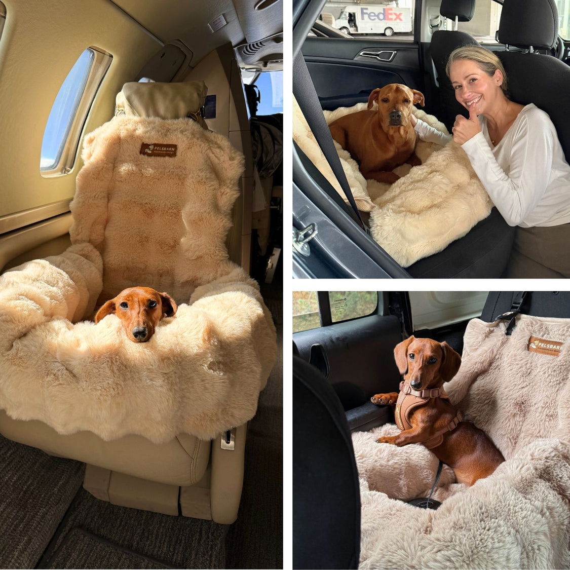 Luxurious Cozy Car Bed