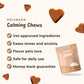 Luxurious Car Bed + Free Calming Chews