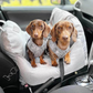Luxurious Dog Car Bed