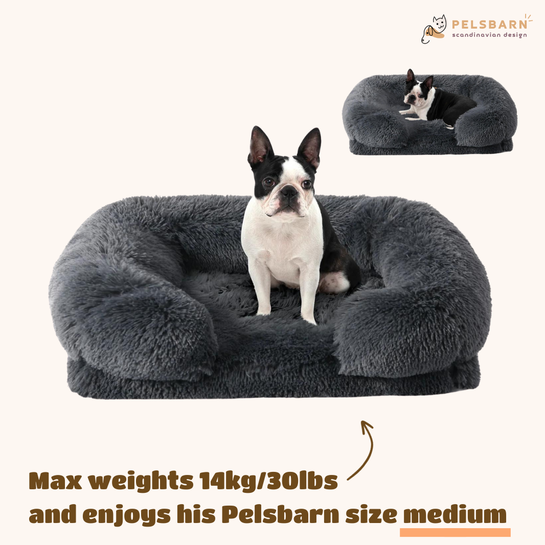 Orthopedic Calming Bed