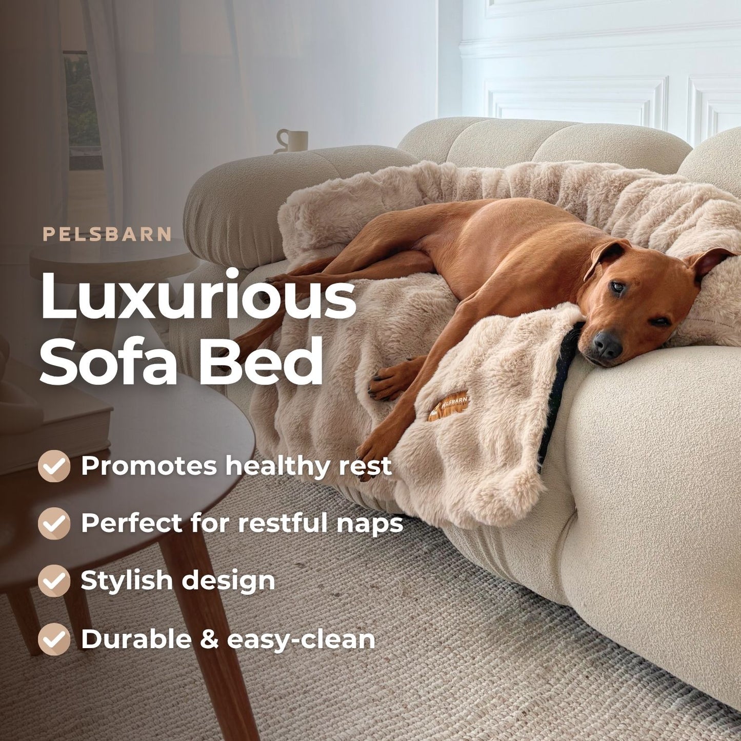 Luxurious Living Room Kit (Bed + Blanket + Pillow)