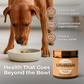 Lifeshield All-in-1 Mushroom Supplement