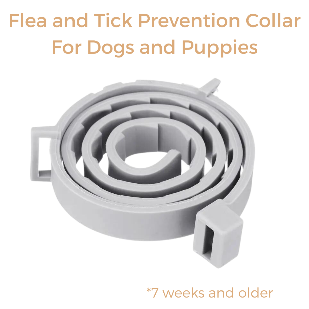 Anti Tick & Flea Collar