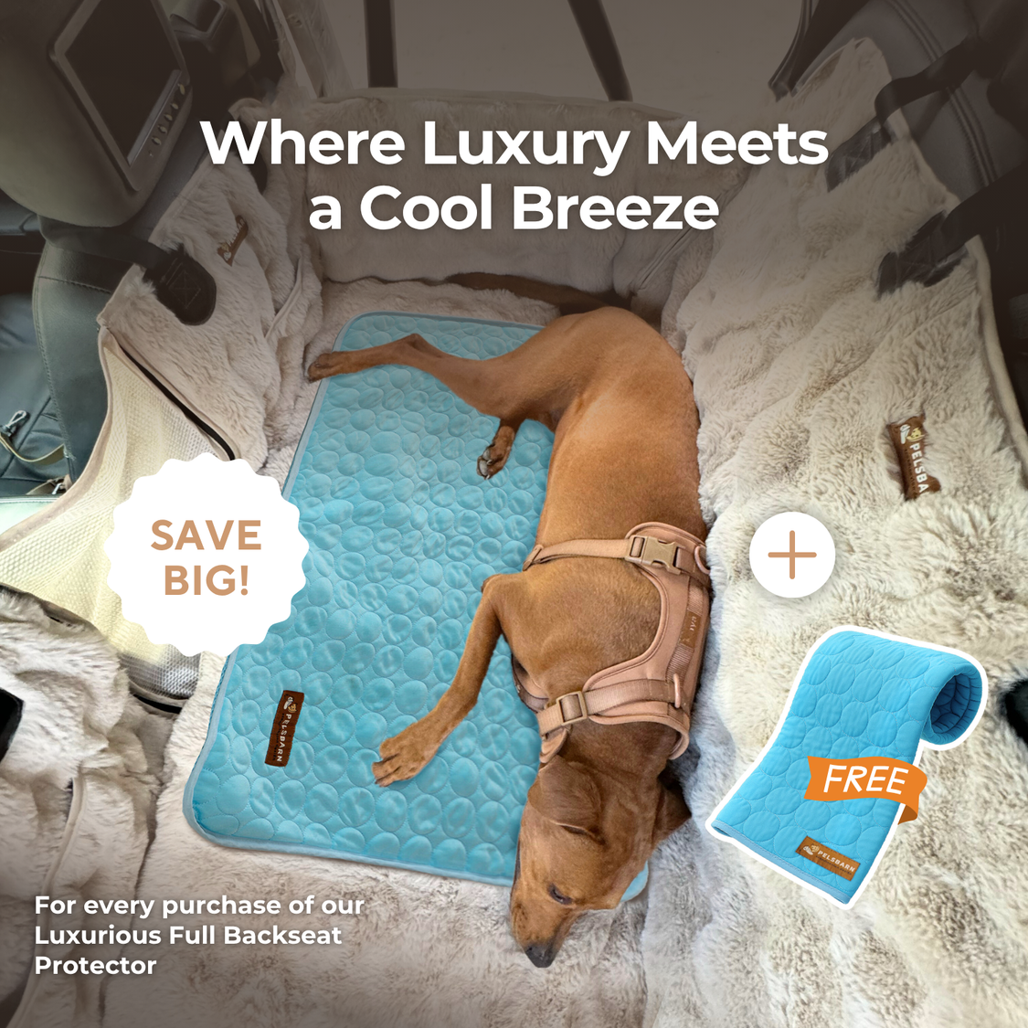 Luxurious Full Backseat Protector + Free Blue Cooling Mat