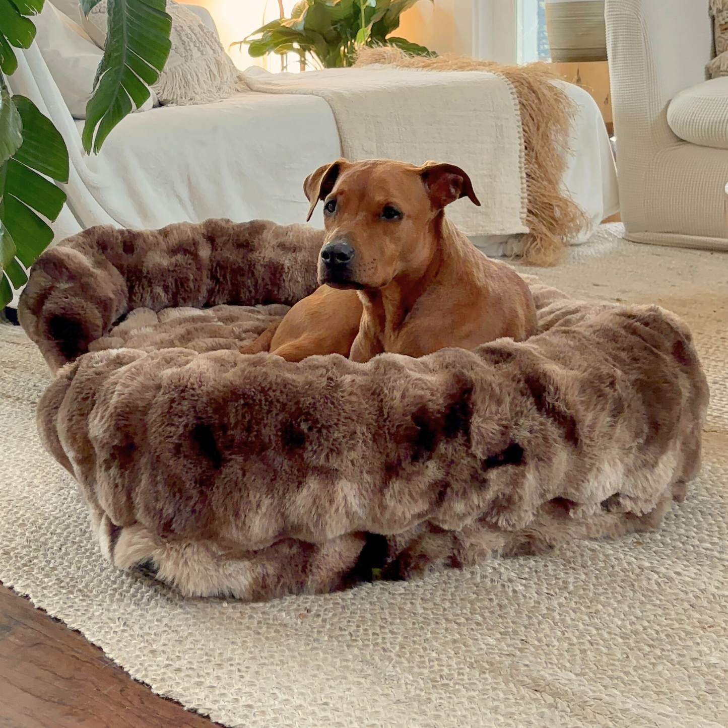 Luxurious Orthopedic Bed