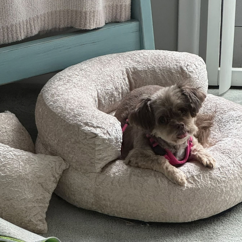 Coco uses size S