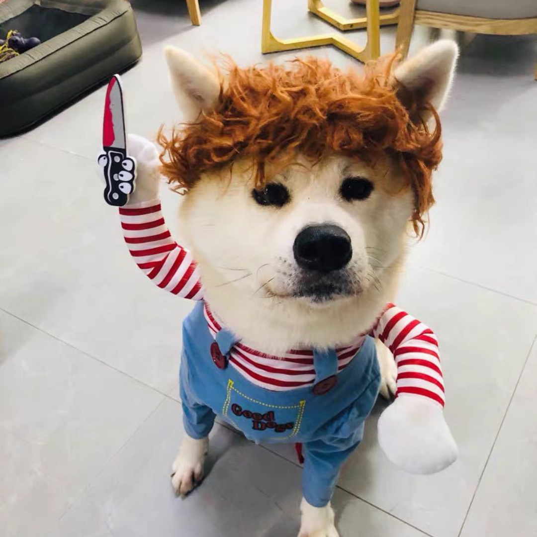 Woof-o-Ween: Chucky Pup-Style Costume