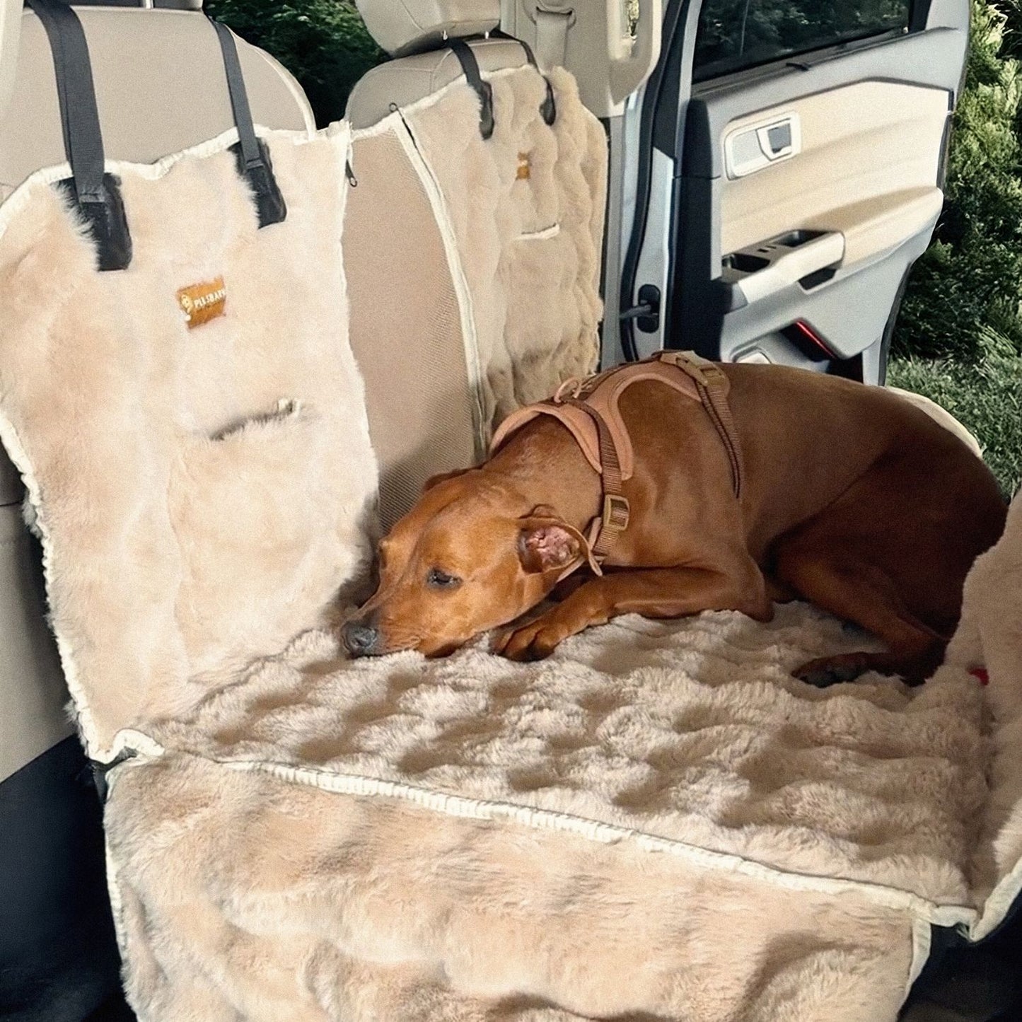 Luxurious Full Backseat + FREE Luxe Calming Blanket